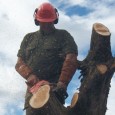 Community Works Team Challenge 2000′s community works team are firing on all cylinders. So far in 2011 the team have built fences, mowed lawns, prepared tonnes of firewood, assembled and dismantled countless marquee’s...