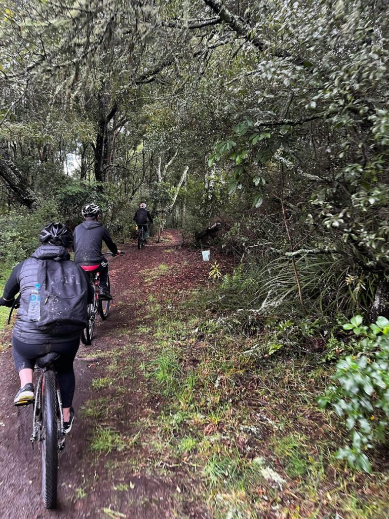 Youth Challenge 2000